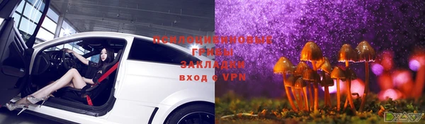 a pvp Алексин