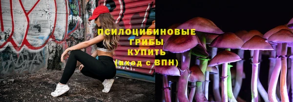 a pvp Алексин