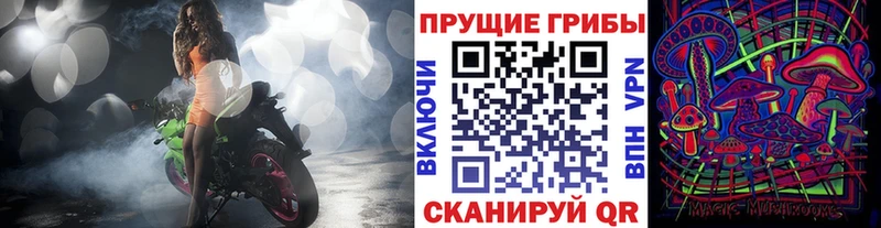 Галлюциногенные грибы Psilocybe  Грязи 